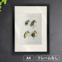 トラウトとバスのフライ　フライフィッシング　毛ばり　1800年代　メアリー・オービス・マーバリー著『Favorite Flies and Their Histories』より　A4 荒い麻布の風合い アートポスター《AS》