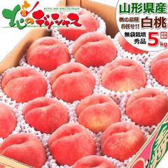 【予約/8月上旬(8月8日)頃～出荷予定】 JA天童 山形県産 白桃 5kg (共選/秀品/12玉～18玉入り/クール冷蔵便) はくとう もも モモ 桃 ギフト 贈り物 お祝い 内祝い プレゼント ご家庭用 果物 フルーツ 山形県 グルメ お取り寄せ