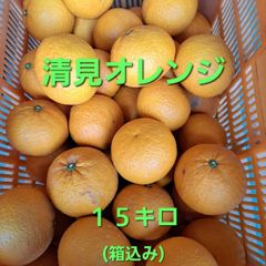 ☆はるみみかん☆　15キロ(箱込み)　広島県瀬戸田産　家庭用　農家直送 ☆はるみ みかん☆ 15キロ(箱込み) 広島県瀬戸田産 家庭用 農家