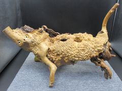 剥製 狸 タヌキ 置物 オブジェ - メルカリ