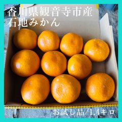 【香川県観音寺市産】石地みかん 約10玉 少し大きめ お試し品 ご家庭用 シゲちゃんファーム