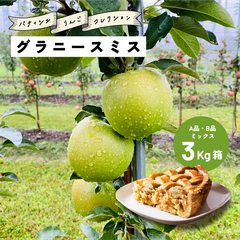 発送中「グラニースミス3キロ箱A品B品」 幻の青林檎　農林水産大臣賞　エコファーマー
