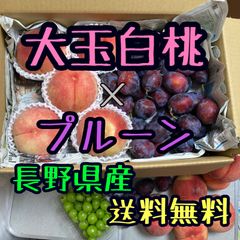 お得な詰め合わせSET 白桃×プルーン 全国クール便送料無料 桃 もも プルーン