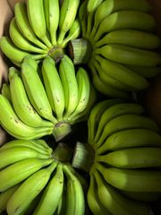 沖縄県産　島バナナ　5キロ