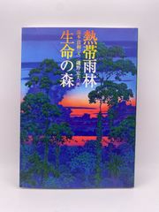 熱帯雨林生命の森