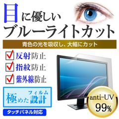 AYA NEO AYANEO Pocket DMG [3.92インチ] 保護 フィルム カバー シート ブルーライトカット 反射防止 指紋防止 液晶保護フィルム メール便送料無料