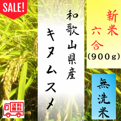 ‼初売りSALE‼令和4年 6合分900g キヌムスメ 和歌山県産 お米 精米 ごはん ご飯 米 白米