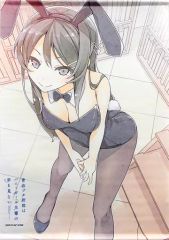 [중고] 태피스트리 사쿠라지마 마이 B2 태피스트리 [청춘 돼지 놈은 토끼 소녀 선배의 꿈을 꾸지 않는다]