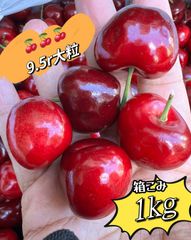 5月22日入荷予定❣️常温便❣️数量限定❣️アメリカンチェリーネコポス箱込み1kg❣️ 超大粒 9.5row ビング種   大粒サクランボ American Premium Cherries 美國車厘子 櫻桃 家庭用 お中元 贈答用