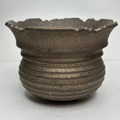 2025年最新】パキプス 鉢の人気アイテム - メルカリ