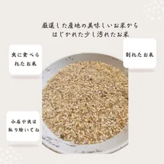2025年最新】くず米 餌の人気アイテム - メルカリ