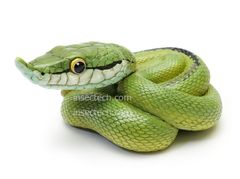 【動物の惑星】バロンコダマヘビ フィギュア