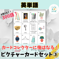 英単語　ピクチャーカードセット③【厚紙印刷・カッティング可】