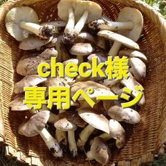 天然きのこ143　シモフリシメジ、クリタケ1.1kg