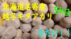 越冬キタアカリ　北海道産　5kg　種イモにも！