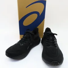 asics アシックス GT-2000 13 EXTRA WIDE エクストラ ワイド ランニングシューズ 1011B863-002 US11/28.5cm 箱有 ※中古