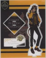 2025年最新】レオナ・キングスカラー アクスタ バースデーの人気