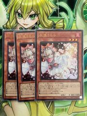 希少・美品】遊戯王 灰流うらら ノーマル 泰亜版 3枚 アジア 英語版