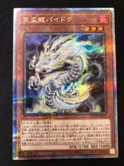 天盃龍パイドラ 25th　LEDE-JP016