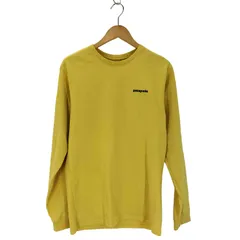 パタゴニア patagonia 20SS メンズ・ロングスリーブ・P-6ロゴ・レスポンシビリティー メンズ JPN：S 