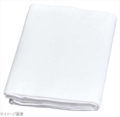 Item thumbnail for item 39b31846-71a2-4f36-bae7-b0c03cf548bb