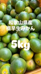 【極早生】有田みかん5kg【ご購入はお早目に】