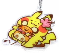 Pokemon カナヘイ×ポケモン ピカチュウ アクリルキーホルダー 全10種 2025年最新】カナヘイ ポケモン アクリルの人気アイテム - メルカリ
