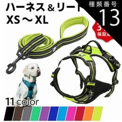 Item thumbnail for item f717a316-a35e-45d1-9b62-efcab6529a6b