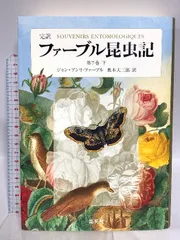 外国産蛾標本　クジャクヤママユ spini 蝶標本　貴重な野外品 外国産蛾標本 クジャクヤママユ spini 蝶標本 貴重な野外品