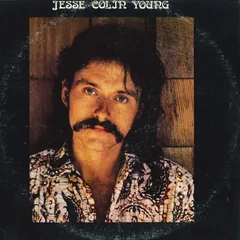 米LP Jesse Colin Young Song For Juli BS2734 WARNER BROS. /00260