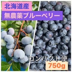 北海道産　農薬不使用　ブルーベリー　750gのサムネイル