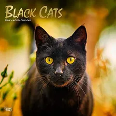 2023年最新】黒猫~Adult Black Cat~の人気アイテム - メルカリ