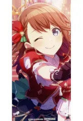 【中古】キャラカード 花里みのり 箔押しイラストカード 「プロジェクトセカイ カラフルステージ! feat. 初音ミク 4.5周年記念フェア in アニメイト」 アニメイト対象商品購入特典