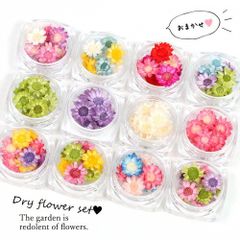 ドライフラワー スターフラワー12ケース  スタッフおまかせ♪ 花材 レジン