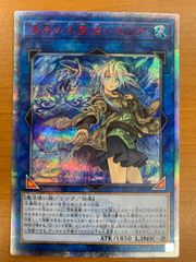 状態B 清冽の水霊使いエリア 20th シークレットレア 遊戯王 ETCO