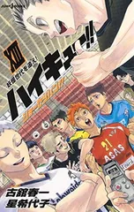 ハイキュー!! ショーセツバン!! 13 (JUMP j BOOKS)