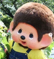 引取限定] 美品！Iwai Gan well KaranKoron/イワイ ガンウェル カラン