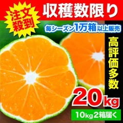 みかん出品 八ちゃん堂 むかん 2個入（1袋2個入／1個50g） 外皮をむいた冷凍