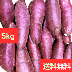 訳ありさつまいも5kg｜紅はるかなど人気品種ミックス（B級品）