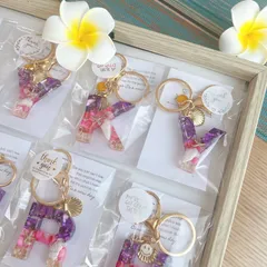 はーちゃんさま専用