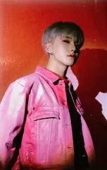 SEVENTEEN ホシ spider トレカ HOSHI SEVENTEEN - spider - Mixtape Official Photo card MD