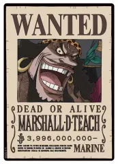 psa10.手配書.黒髭ティーチ PSA10】ティーチ 手配書SP