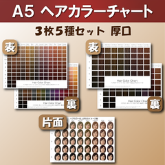 ヘアカラーチャート3枚5種セット A5厚口 おしゃれ染め 白髪染め ファッションカラー グレイカラー 平均顔 美容室
