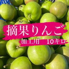 青森県産　摘果りんご　サンふじ　加工用約10キロ