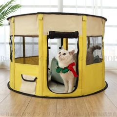 Item thumbnail for item db85c077-2cbd-4970-bbcd-bca8c7679c75