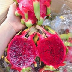 [毎週入荷、入荷次第出荷]　生鮮 航空便  ベトナム産 赤肉ドラゴンフルーツ 約5kg　12玉