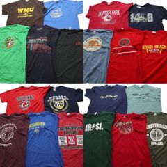 古着卸 まとめ売り カラーmix プリント 半袖Tシャツ 20枚セット (メンズ L ) 企業 バッキーズ 英文字 ワンポイント 中古 古着 NA7017