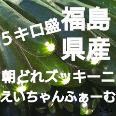 福島県産!朝どれ!ズッキーニ５キロ盛