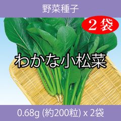 野菜種子 EBS わかな小松菜 0.68g(約200粒) x 2袋