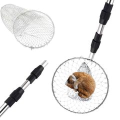 Item thumbnail for item 854b9ebb-36c2-4d73-a104-06955e8f9b45